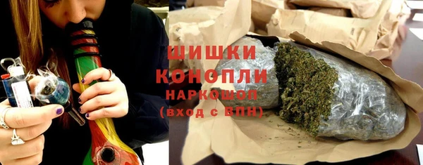 spice Краснослободск